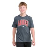 Collegiate Arch Heather Tee - Youth - 图片 2