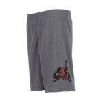 Jumpman Classic Mesh Short - Youth - 图片 2
