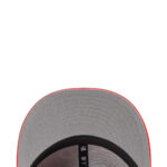 Texans 950 - 图片 5