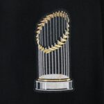 Dodgers World Series 2025 Champions PO Hoody -Mens - 图片 7