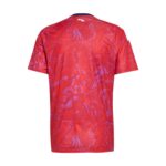 26/27 Costa Rica Replica Home Jersey -Mens - 图片 5