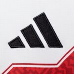 26/27 Peru Replica Home Jersey -Mens - 图片 4