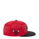 Bulls Satin 2-Tone OTC Pin 5950 - 图片 2
