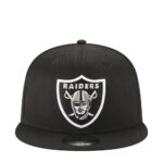 Raiders Basic 950