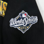 Dodgers World Series 2025 Champions PO Hoody - Kids - 图片 6