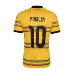 Jamaica x Marley Jersey -Mens - 图片 7