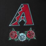Arizona Diamondbacks Wave & Roses Hoodie -Mens - 图片 6