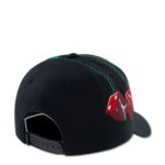 Youth Jordan AJ13 Cherry Dice Rise Dad Cap - 图片 2