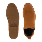 Darwin - Mens - 图片 4