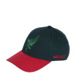 FMF Eagle 2-Tone Cap