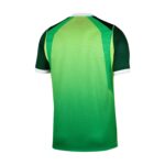Nigeria 26/27 Replica Home Jersey -Mens - 图片 8