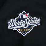 Dodgers World Series 2025 Champions PO Hoody -Mens - 图片 6