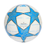 2025 UEFA Champions League Training Ball - 图片 2