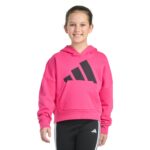 Essential Big Logo Fleece PO Hoody - Youth - 图片 2