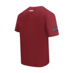Arizona Diamondbacks Wave & Roses Tee -Mens - 图片 4