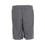 Jumpman Classic Mesh Short - Youth - 图片 3
