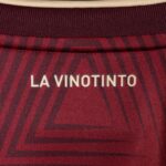 26/27 Venezuela Replica Home Jersey - Mens - 图片 6