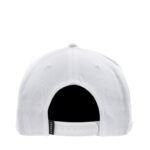 Jordan Pro Cap Jumpman Snapback - 图片 7