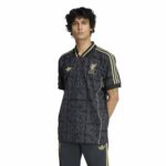 25/26 Liverpool Lifestyle Jersey -Mens - 图片 2