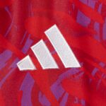 26/27 Costa Rica Replica Home Jersey -Mens - 图片 3