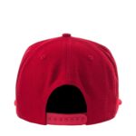 Niners Coach 950 - 图片 4