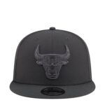 Bulls Tonal Color Pack 950