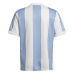 Argentina Anniversary Jersey - Youth - 图片 5