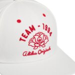 Rose Modern 3.0 Snapback - 图片 3