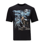 Jordan Graphic Wolf Tee -Mens