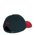 FMF Eagle 2-Tone Cap - 图片 2