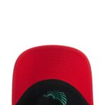FMF Eagle 2-Tone Cap - 图片 5