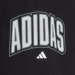Collegiate Fleece Pant - Youth - 图片 4