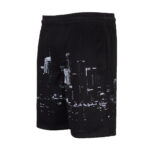 Printed Mesh Short Skyline - Mens - 图片 7