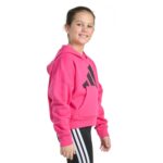 Essential Big Logo Fleece PO Hoody - Youth - 图片 4