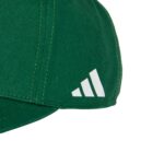 Host Nation Mexico OLP Cap - 图片 2