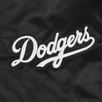 Los Angeles Dodgers Eternal Skull Jacket -Mens - 图片 6