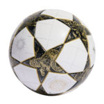 2025 UEFA Champions League Ball - 图片 2