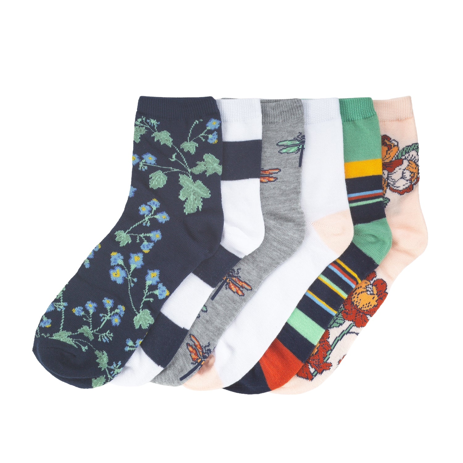 6 Pack Medium Quarter