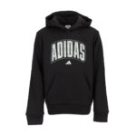 Collegiate Fleece Hooded Pullover - Youth