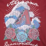 Arizona Diamondbacks Wave & Roses Tee -Mens - 图片 5
