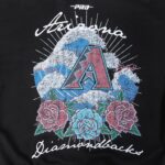 Arizona Diamondbacks Wave & Roses Hoodie -Mens - 图片 5